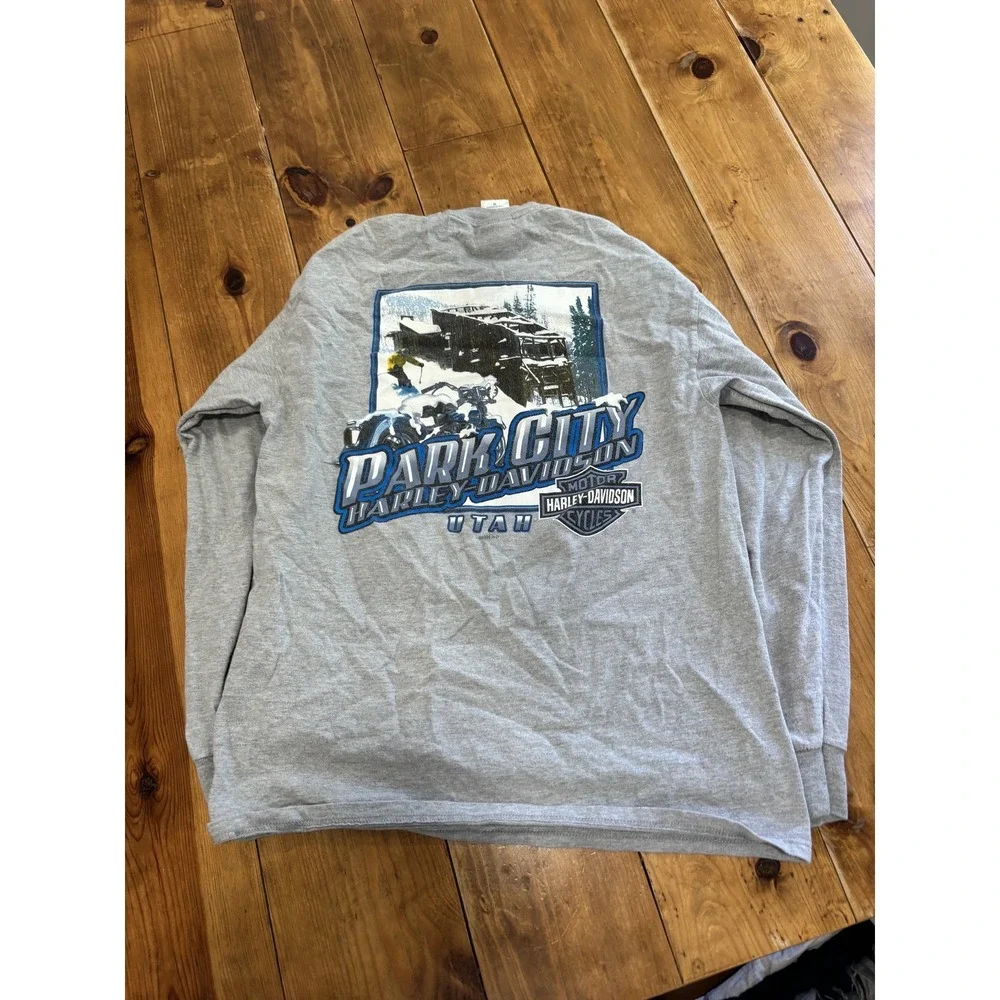 Harley-Davidson Park City Utah Long Sleeve T-Shirt Men's M Gray Wild One Vintage